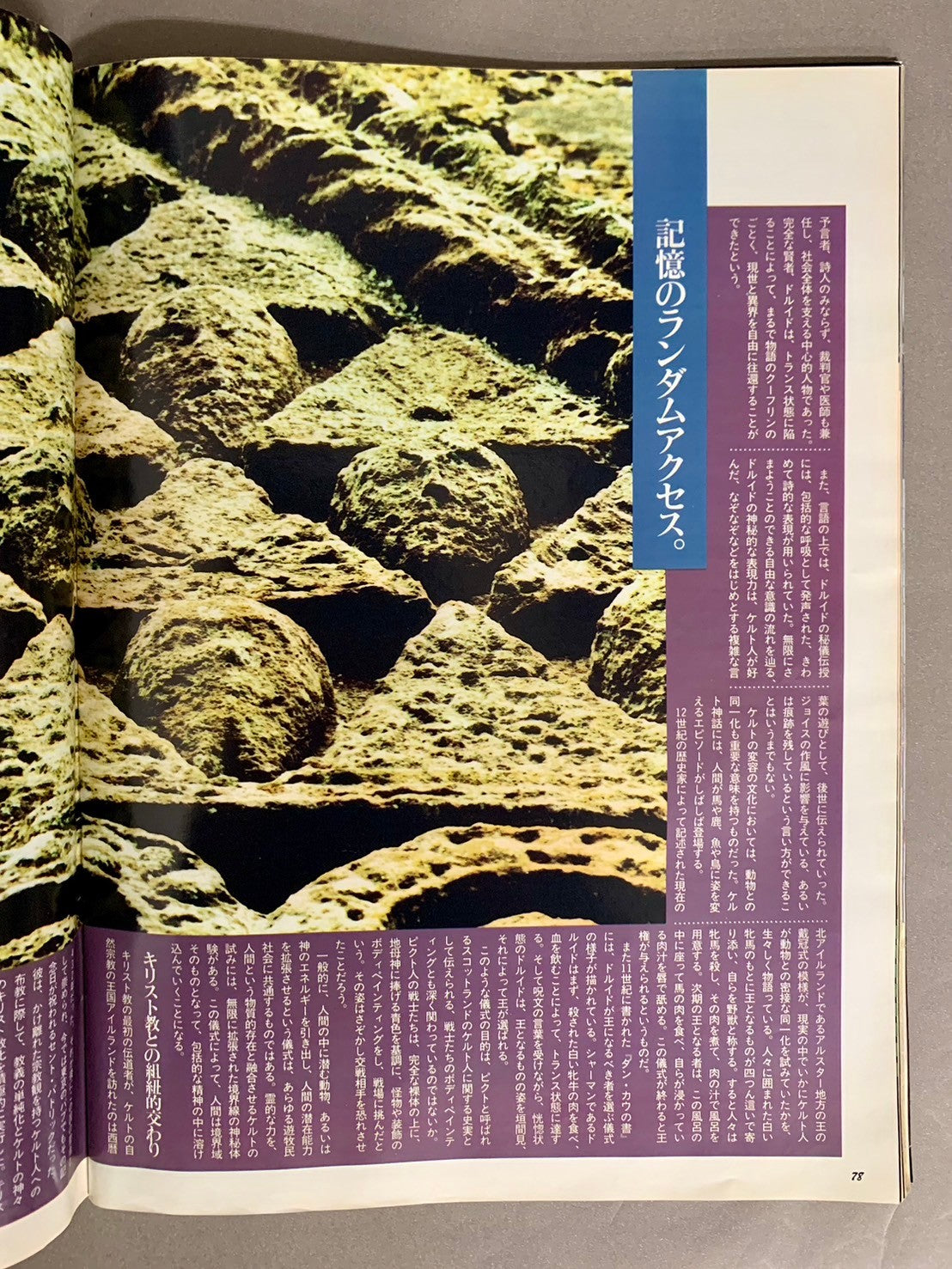 BRUTUS 1992年8月1日号 No.277 特集:ヴァーチャル・エロス