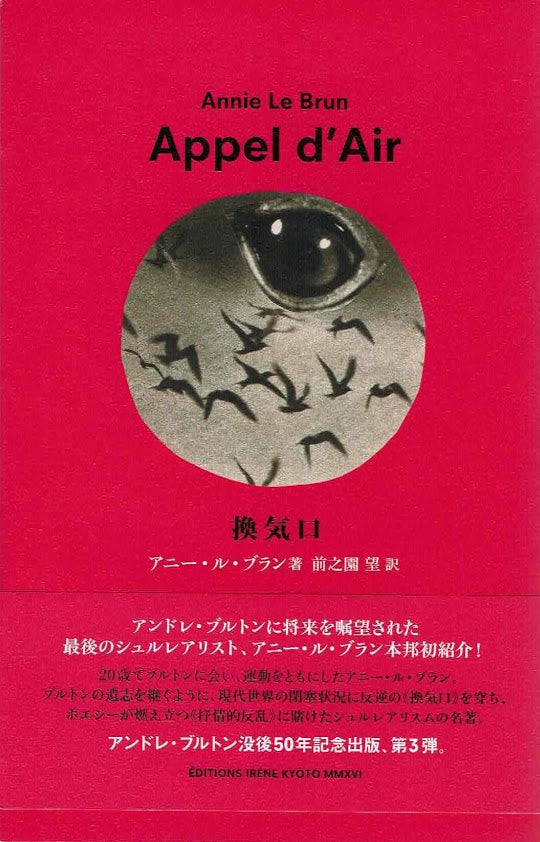 換気口 アニー ル・ブラン 著 前之園 望 訳