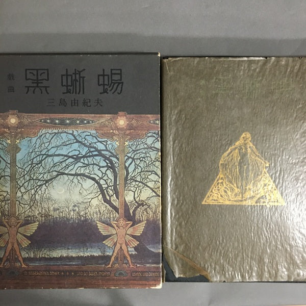 黒蜥蜴 三島由紀夫