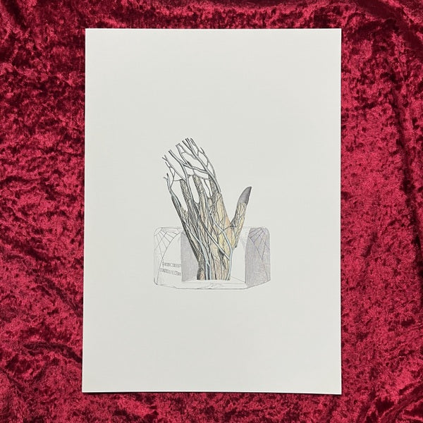 シュルレアリスムと響き合う感性から生み出された野中ユリの作品たち