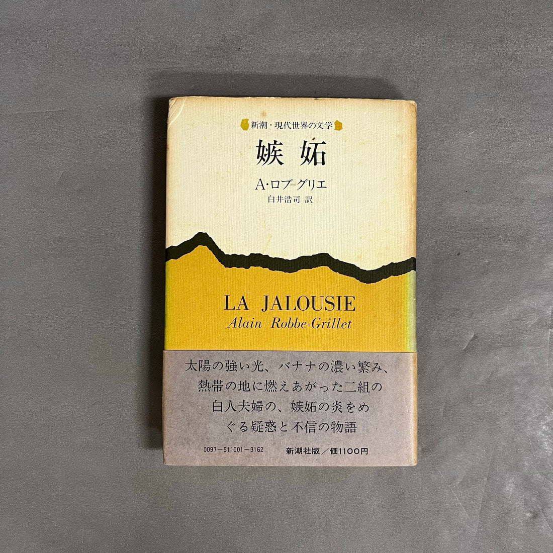 アラン・ロブ＝グリエ 「嫉妬」