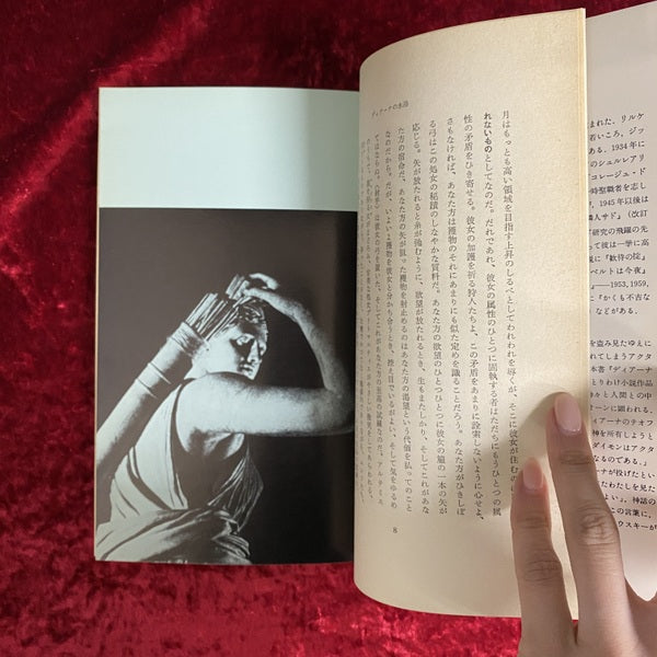 ディアーナの水浴