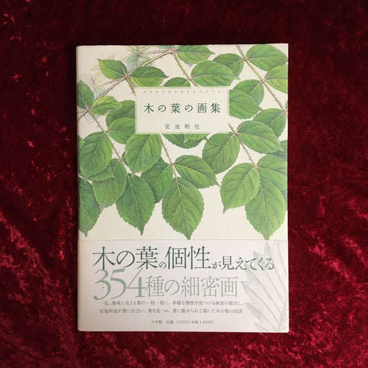 木の葉の画集