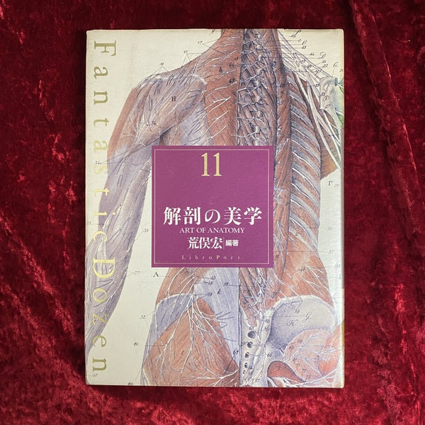 解剖の美学 ＜Fantastic dozen 第11巻＞
