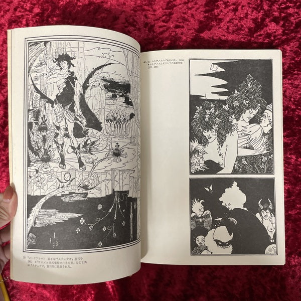 ビアズリーのイラストレーション ＜双書美術の泉 14＞