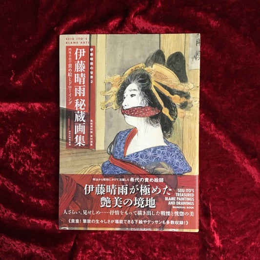 【新刊書籍】伊藤晴雨の世界2 伊藤晴雨 秘蔵画集〜門外不出の責め絵とドローイング〜風俗資料館 資料選集