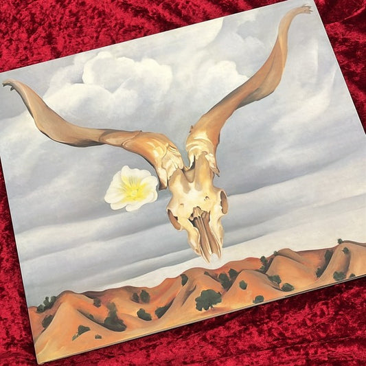 イン・ザ・ウェスト　オキーフ画集