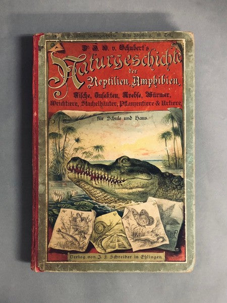 Kulturgeschichte der Reptilien, Amphibien　水辺の生き物の博物図譜　洋書