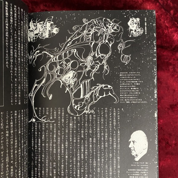 全宇宙誌
