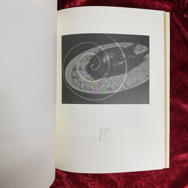 歴史の天使　アイ：ラブ：アートⅢ展　写真作品　The Fallen Angels ＜I love art＞