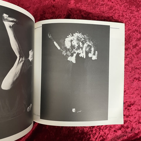 Butoh Festival '85 : 舞踏懺悔録集成 : 七人の季節と城