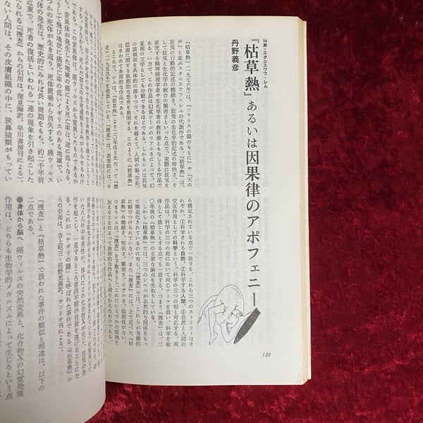 ユリイカ　詩と批評　特集　スタニスワフ・レム　1986年1月号