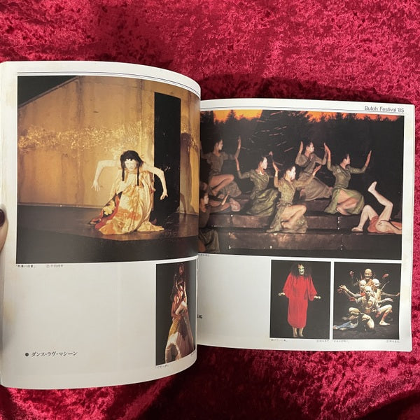 Butoh Festival '85 : 舞踏懺悔録集成 : 七人の季節と城