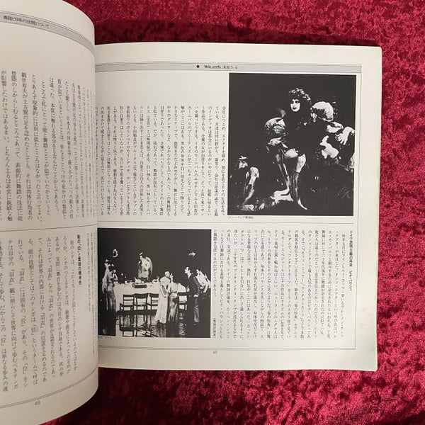 Butoh Festival '85 : 舞踏懺悔録集成 : 七人の季節と城