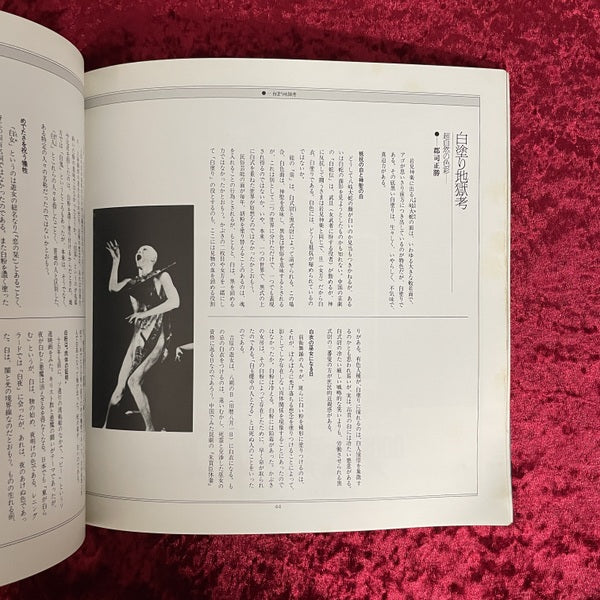 Butoh Festival '85 : 舞踏懺悔録集成 : 七人の季節と城