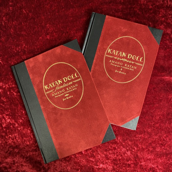 カタンドール・ファンタズム : 天野可淡人形作品集　特装版 ＜Pan-exotica＞