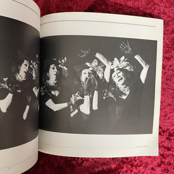 Butoh Festival '85 : 舞踏懺悔録集成 : 七人の季節と城