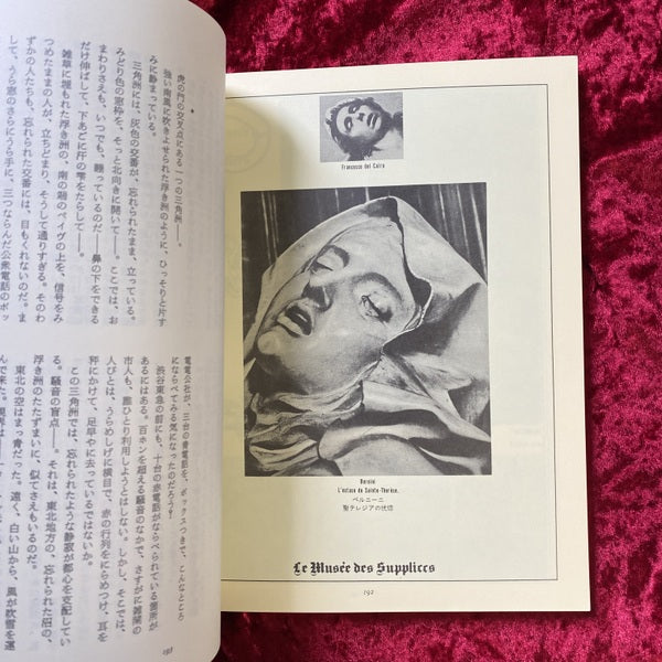 血と薔薇 : 全3号復原