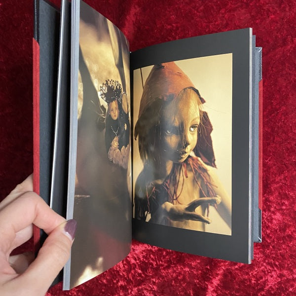 カタンドール・ファンタズム : 天野可淡人形作品集　特装版 ＜Pan-exotica＞