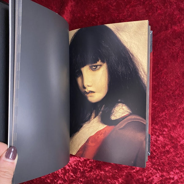 カタンドール・ファンタズム : 天野可淡人形作品集　特装版 ＜Pan-exotica＞