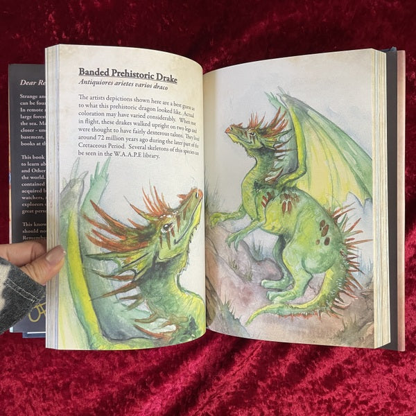 DRAGONS & Other Rare Creatures Volume 　洋書