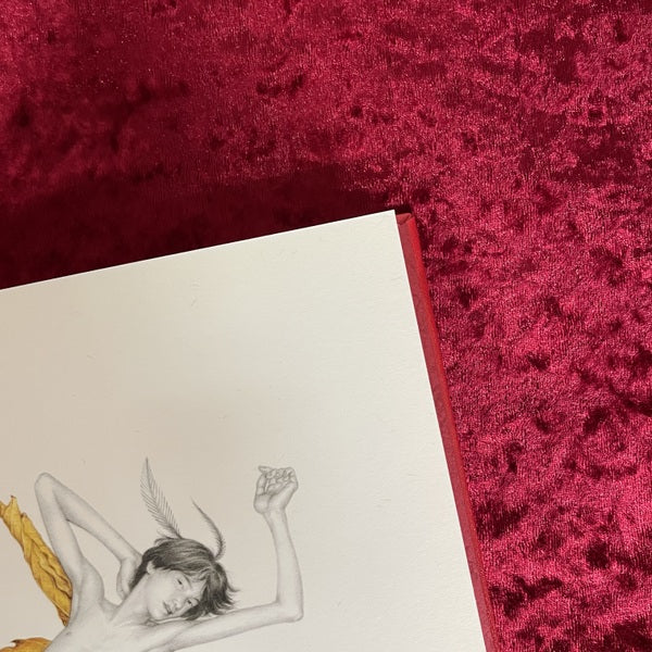 雄蕊 　甲秀樹 作品集　「此の世の花」展　15部限定