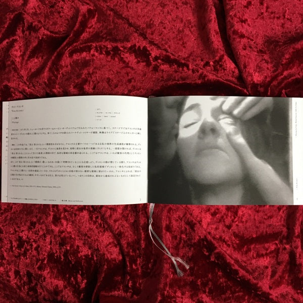 ヴィデオを待ちながら : 映像,60年代から今日へ 展覧会図録