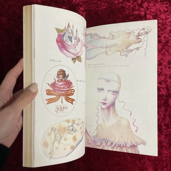 月刊　絵本　1978年12月号　特集　宇野亜喜良　華麗な変形譚