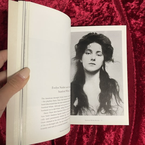 Illustrated True Crime : A Photographic Record　洋書