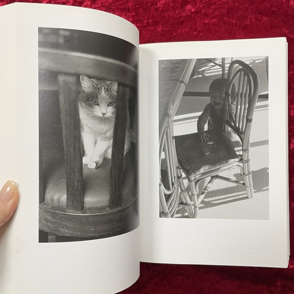 At home : 上田義彦写真集