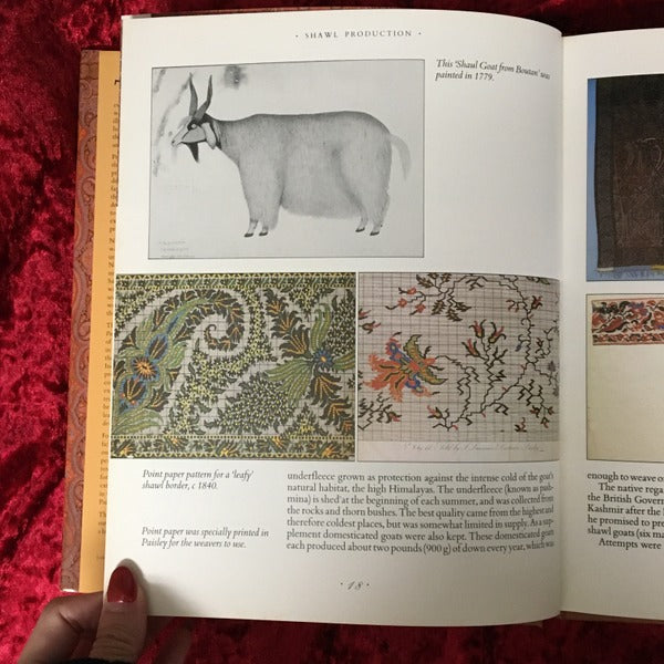 The Paisley Pattern　The Official Illustrated History 洋書