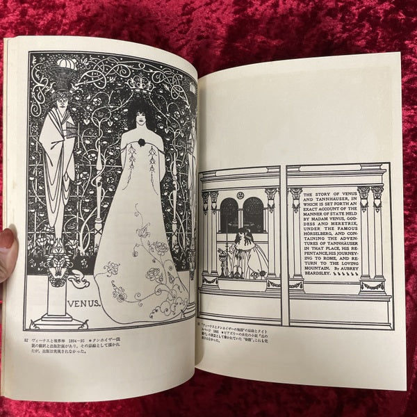 ビアズリーのイラストレーション ＜双書美術の泉 14＞