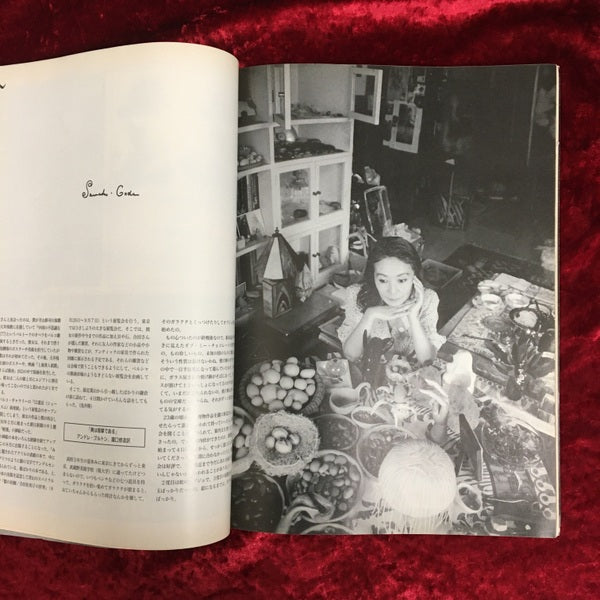 骰子DICE MAGAZINE ISSUE4, 1994 特集：合田佐和子ロングインタビュー ISSUE NO.4