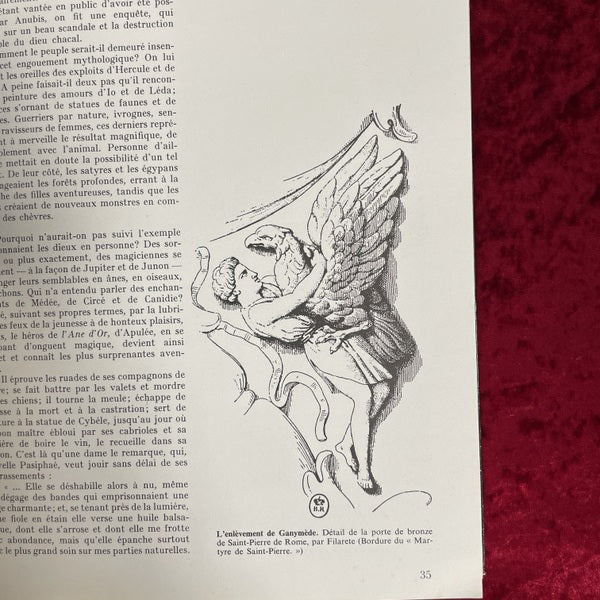 LE MUSEE DE LA BESTIALITE 洋書