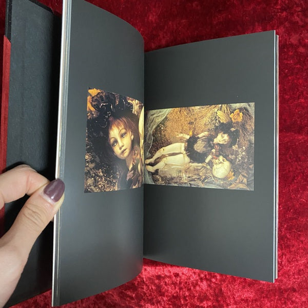 カタンドール・ファンタズム : 天野可淡人形作品集　特装版 ＜Pan-exotica＞
