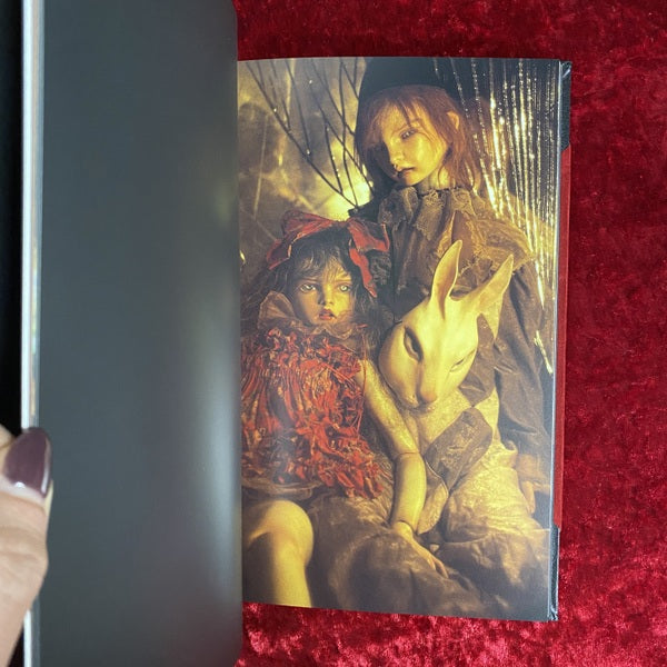 カタンドール・ファンタズム : 天野可淡人形作品集　特装版 ＜Pan-exotica＞