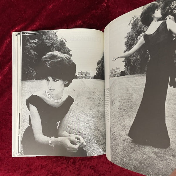 No.165 希少 アンティーク洋書 古書　ヒース ロビンソン The Sixties in 