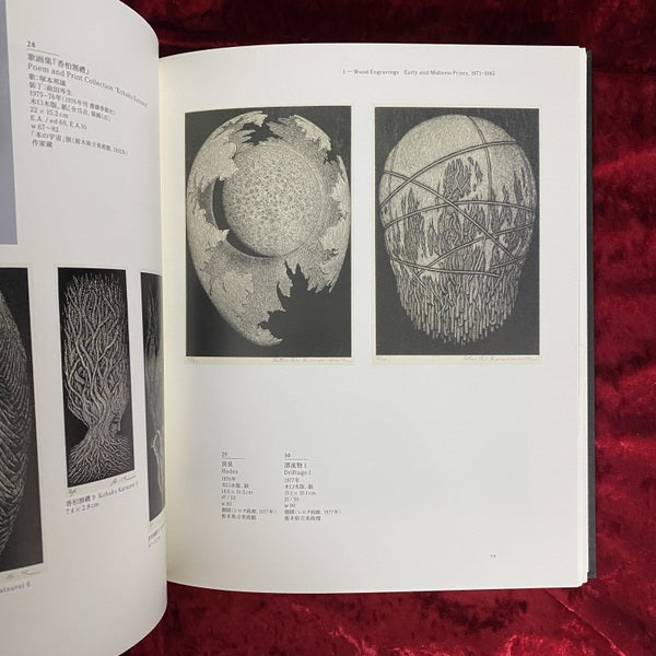 柄澤齊展 : 版画、オブジェ、水彩、本 1971-2006