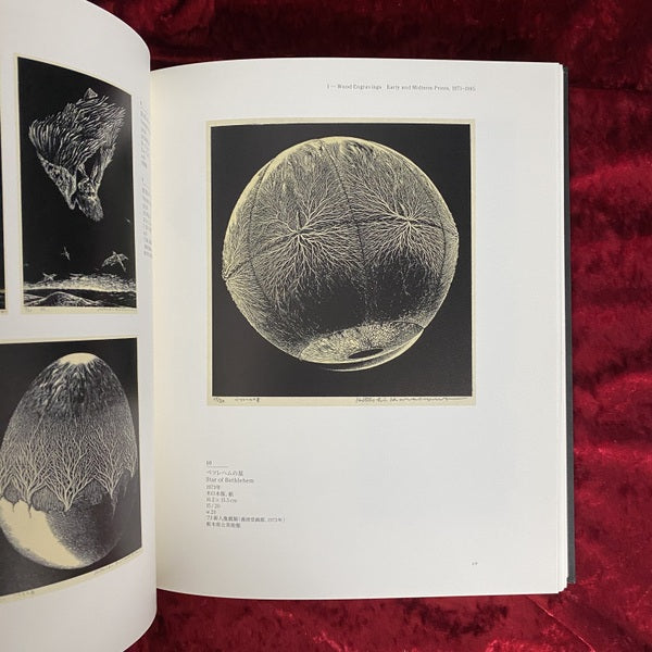 柄澤齊展 : 版画、オブジェ、水彩、本 1971-2006