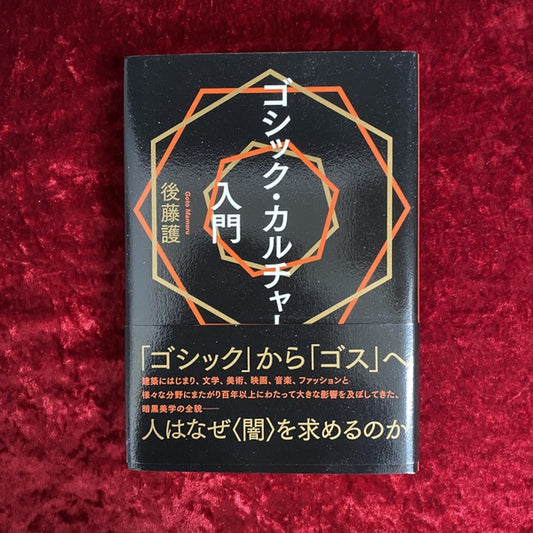 ゴシック・カルチャー入門 ＜Ele-king books＞