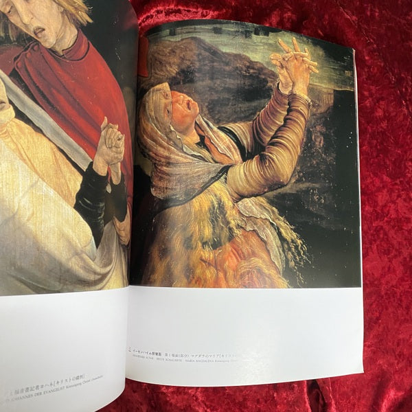 グリューネヴァルト : 北方ルネサンス　西洋編6 ＜朝日美術館＞