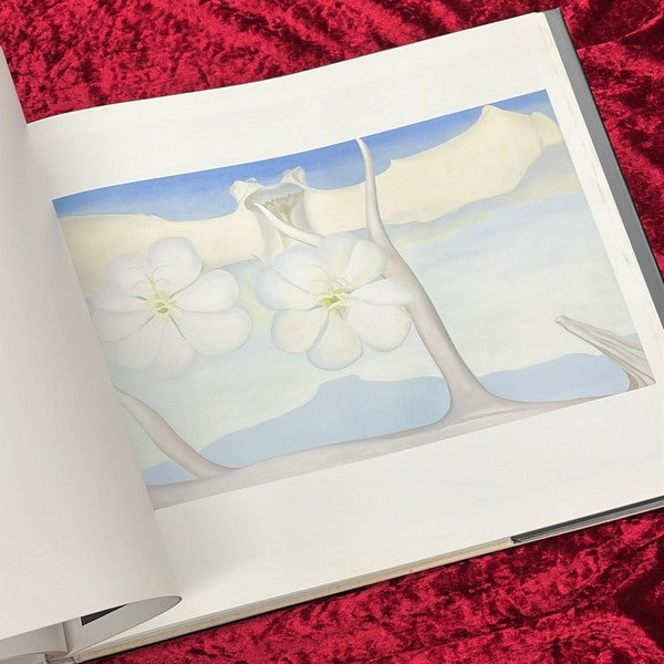 イン・ザ・ウェスト　オキーフ画集