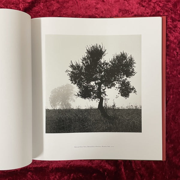 ABRUZZO　マイケル・ケンナ　Michael Kenna