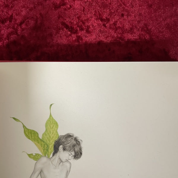 雄蕊 　甲秀樹 作品集　「此の世の花」展　15部限定
