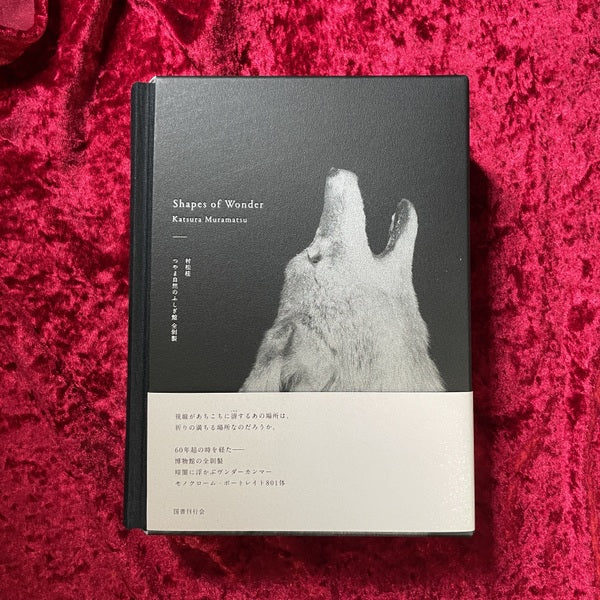 【新刊書籍】Shapes of Wonder つやま自然のふしぎ館 全剝製