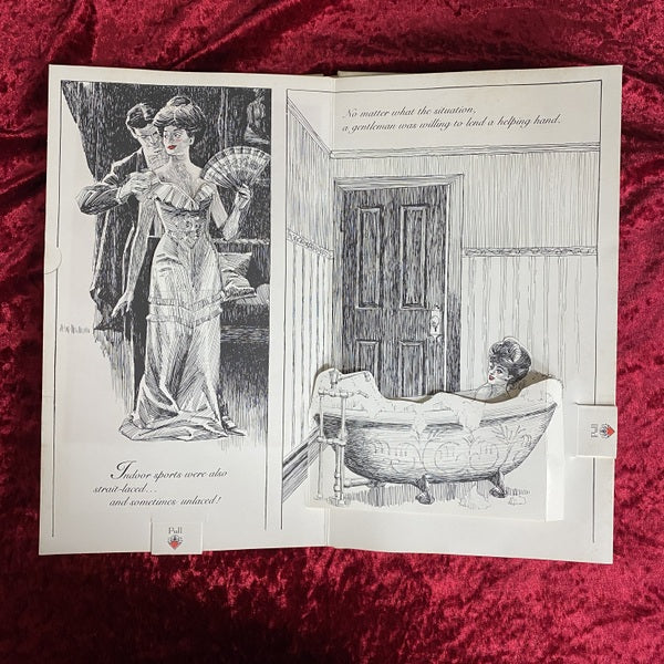 The Naughty Nineties: A Saucy Pop-Up Book for Adults Only 洋書