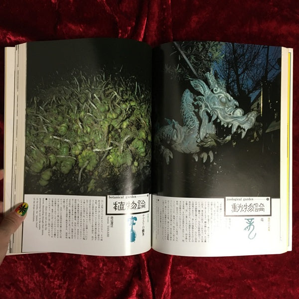 遊　観音力　少年 1006／1979‐4