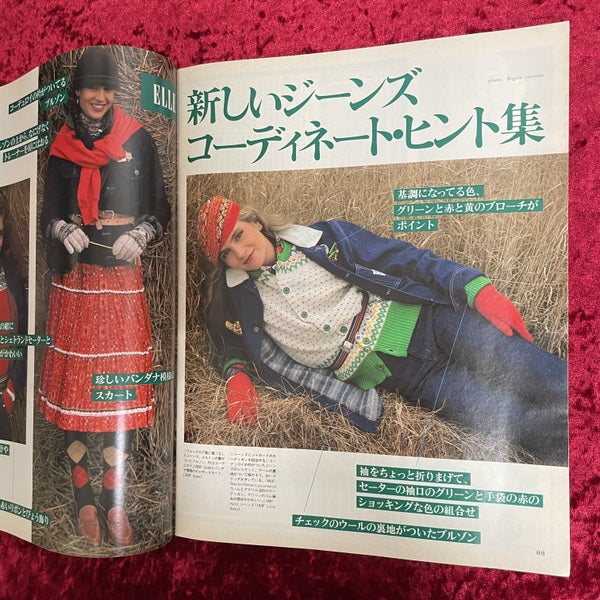 an・an 1980年2/11号　NO.244
