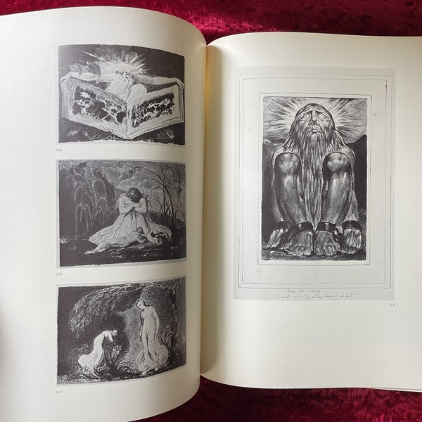 The Complete Graphic Works of William Blake 洋書　ウィリアム・ブレイク