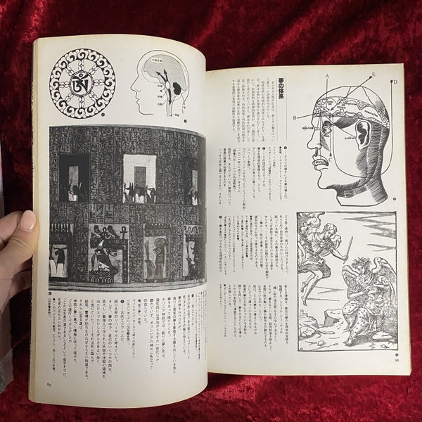 イメージの博物誌 3 夢 : 時空を超える旅路